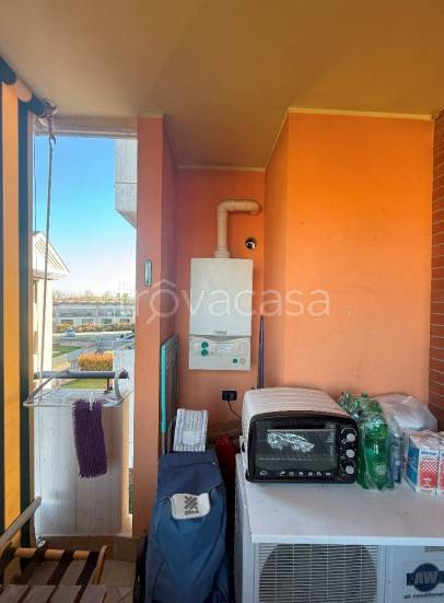 immagine annuncio 6 di 8