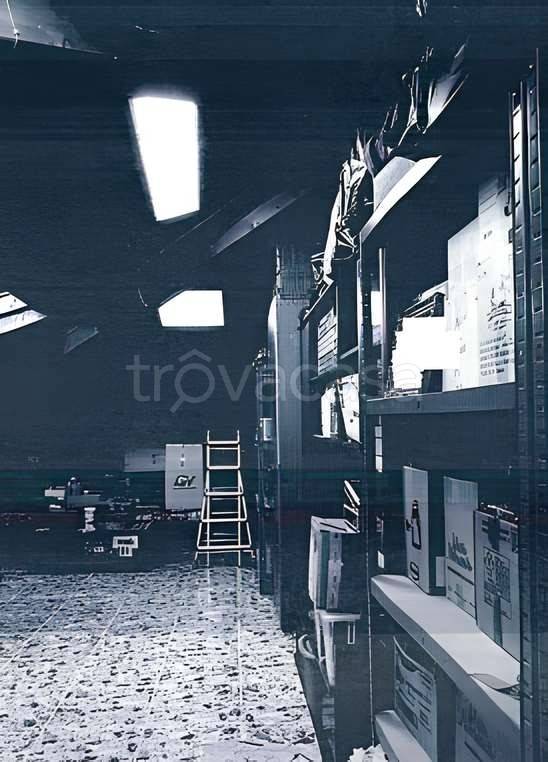 immagine annuncio 6 di 12