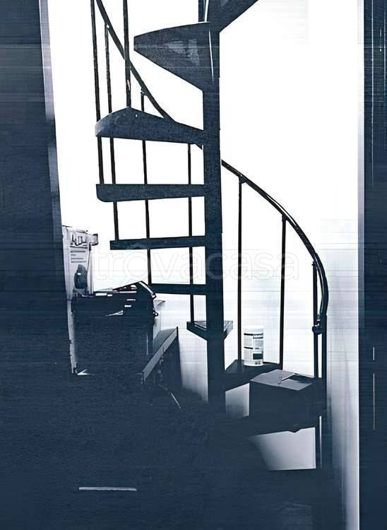 immagine annuncio 7 di 12