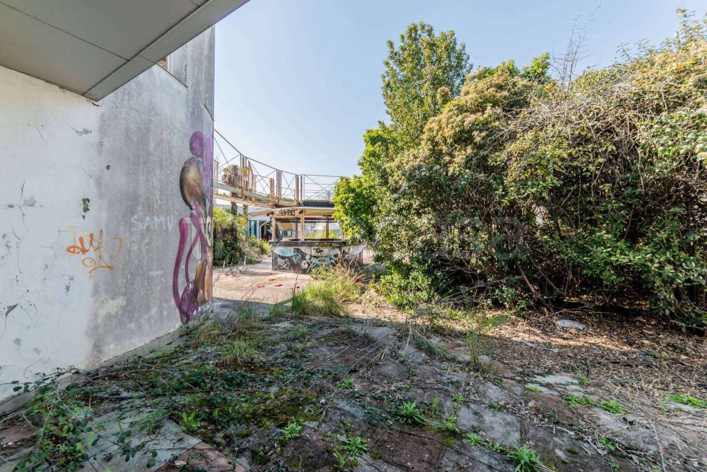 immagine annuncio 2 di 13