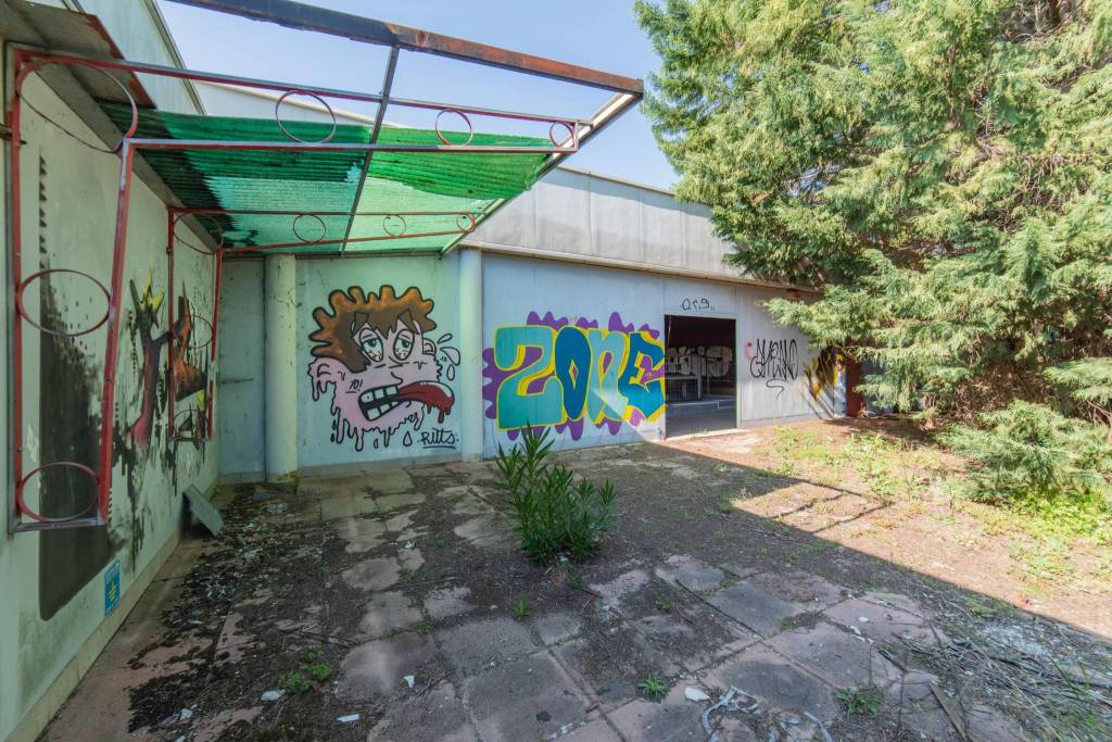 immagine annuncio 4 di 13