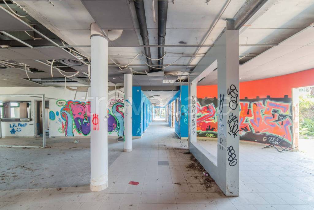 immagine annuncio 10 di 13