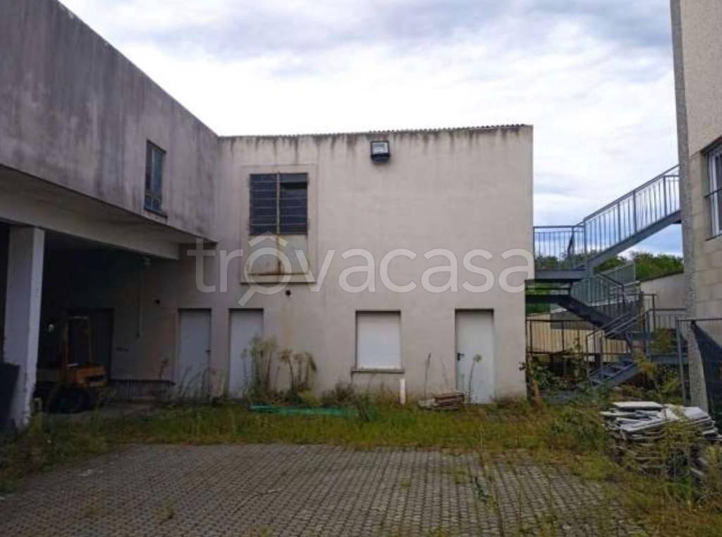 immagine annuncio 5 di 7