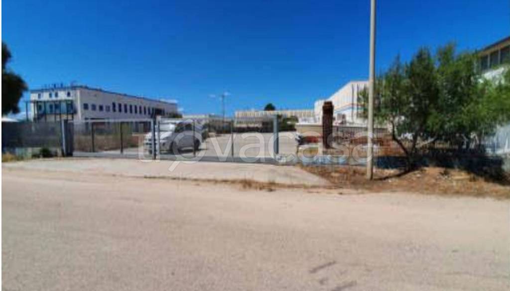 immagine annuncio 9 di 11