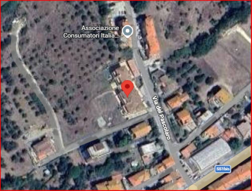 immagine annuncio 11 di 12