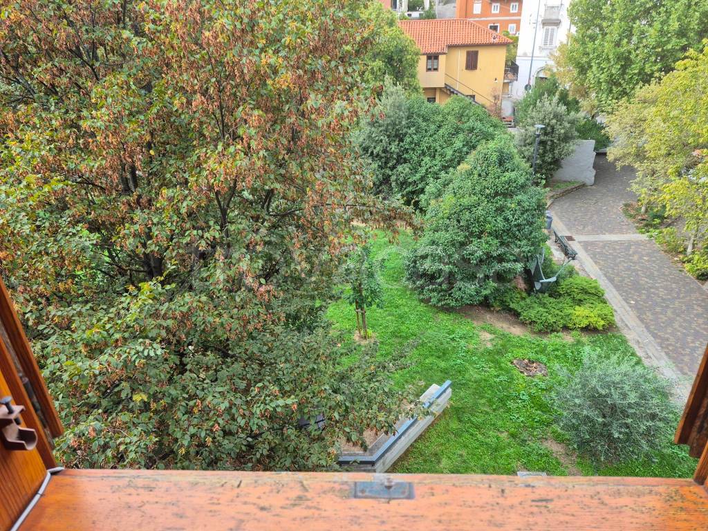 immagine annuncio 7 di 13