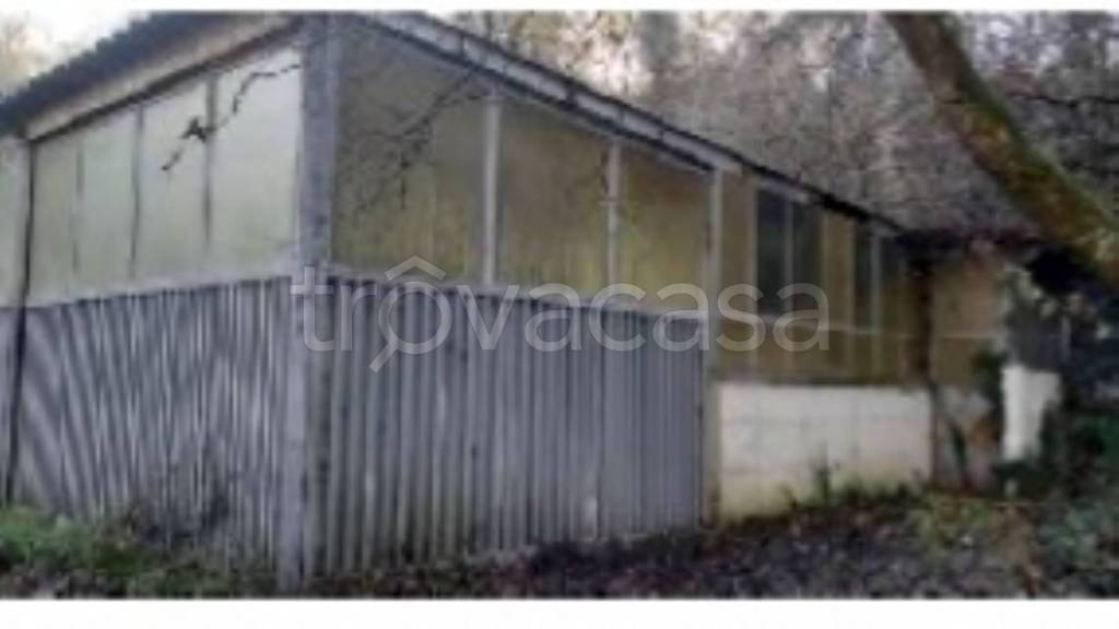 immagine annuncio 6 di 13