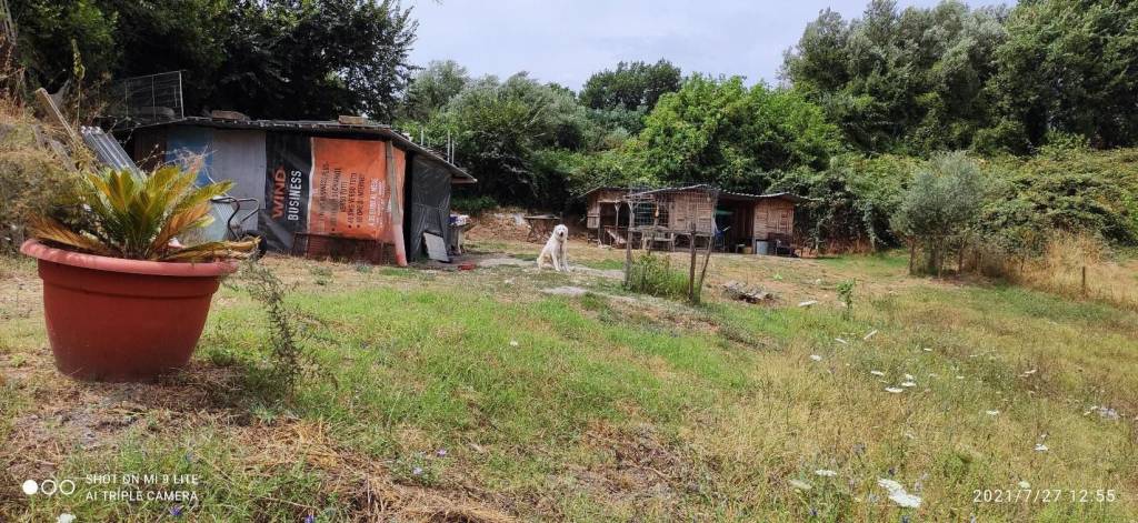 immagine annuncio 4 di 13