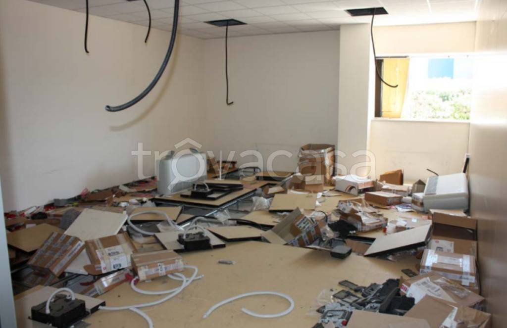 immagine annuncio 4 di 12