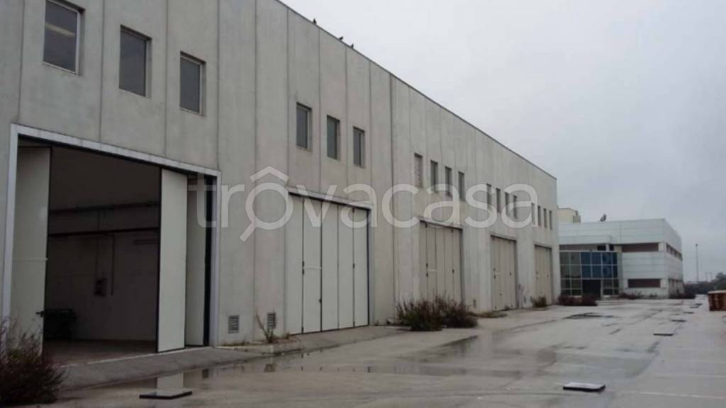 immagine annuncio 5 di 12