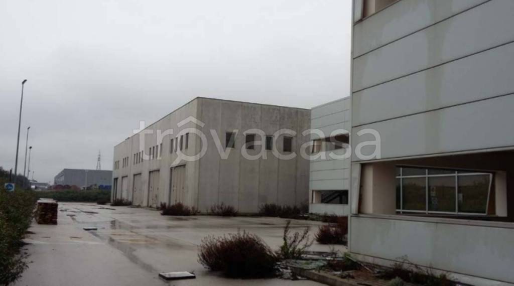 immagine annuncio 6 di 12