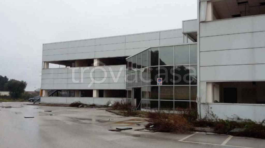 immagine annuncio 7 di 12