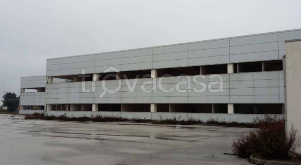 immagine annuncio 8 di 12