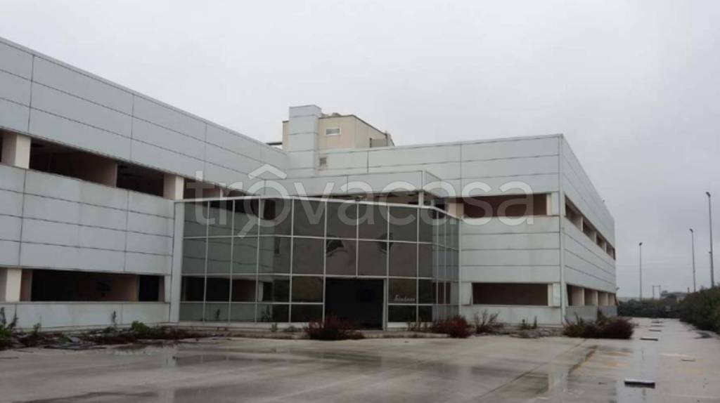 immagine annuncio 9 di 12