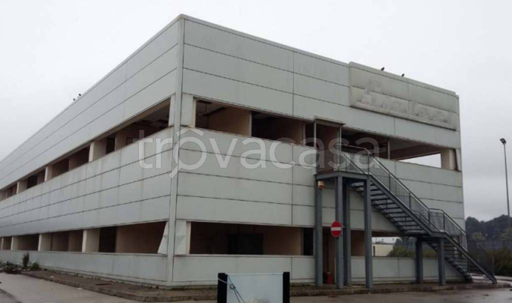 immagine annuncio 11 di 12