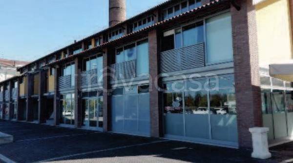 immagine annuncio 6 di 8