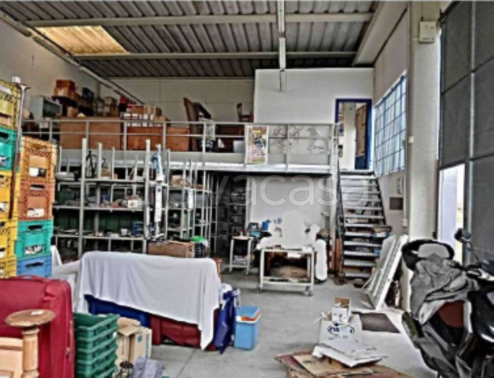 immagine annuncio 3 di 11