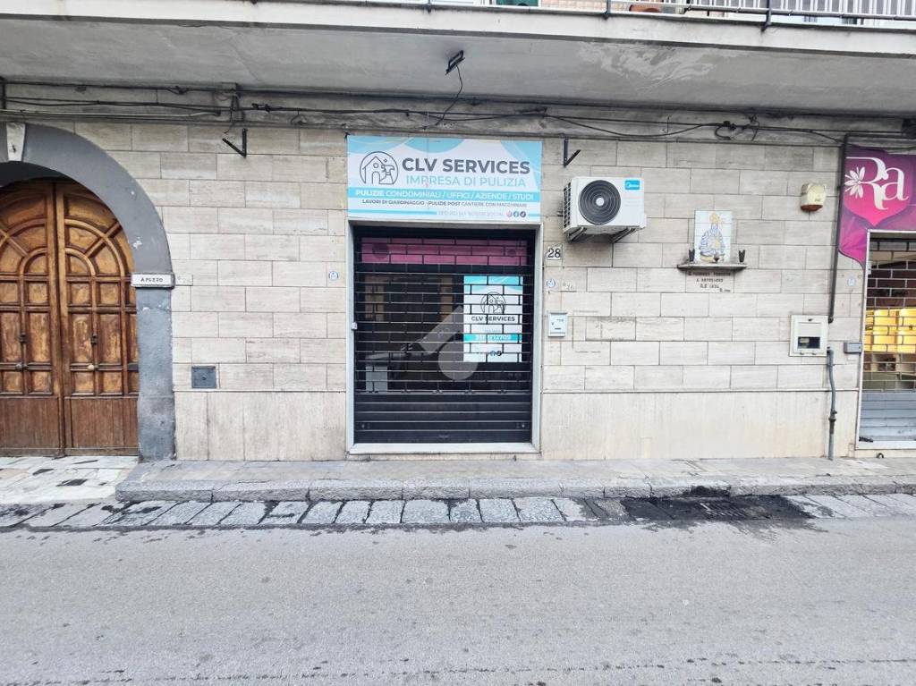 immagine annuncio 1 di 11