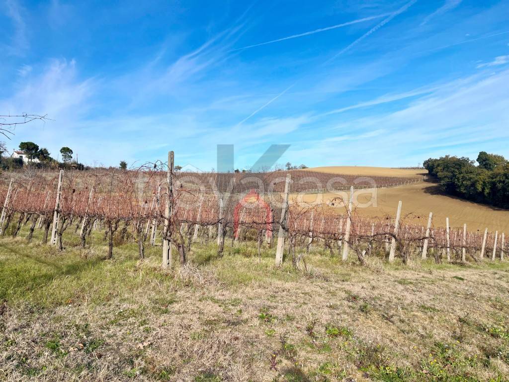 immagine annuncio 6 di 14