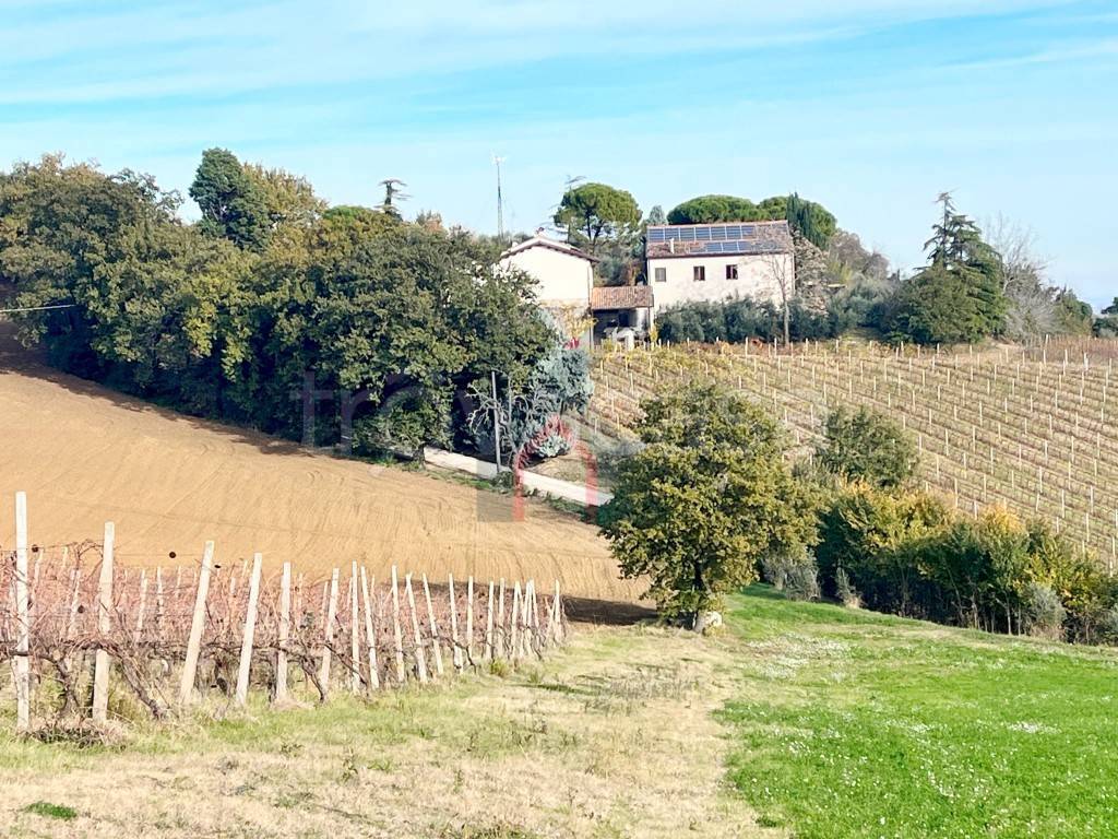 immagine annuncio 8 di 14