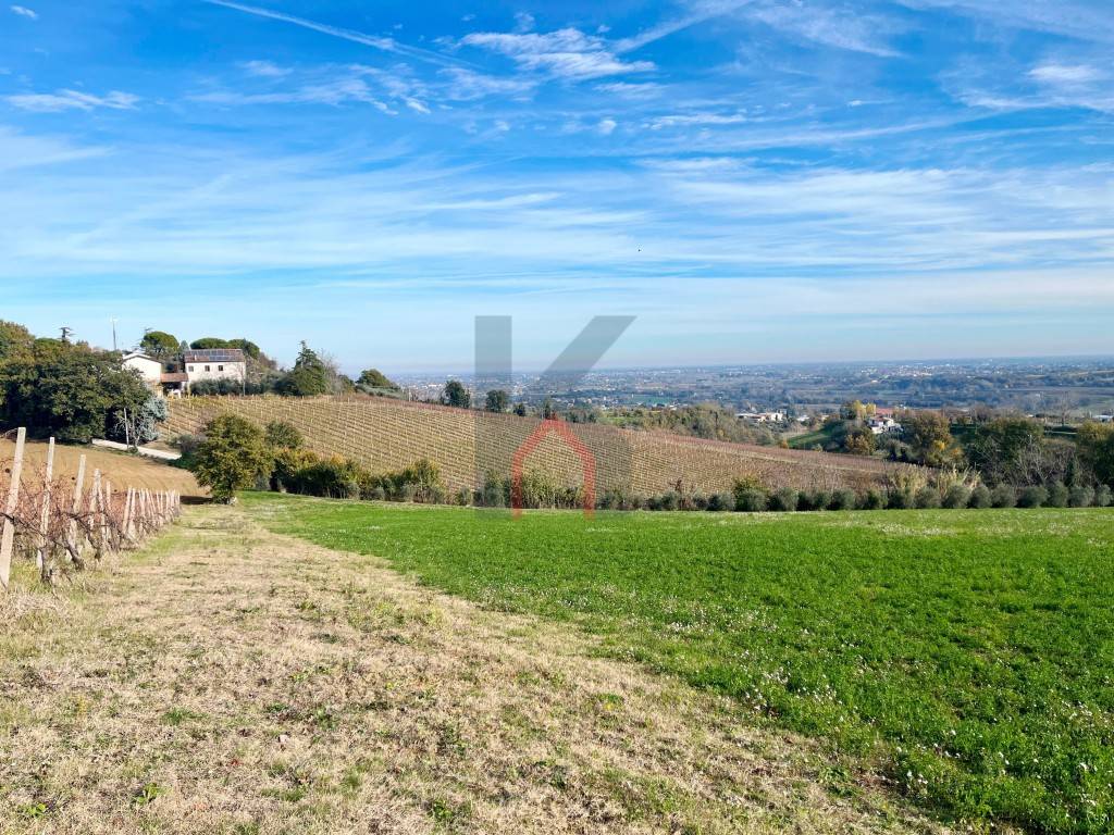 immagine annuncio 9 di 14