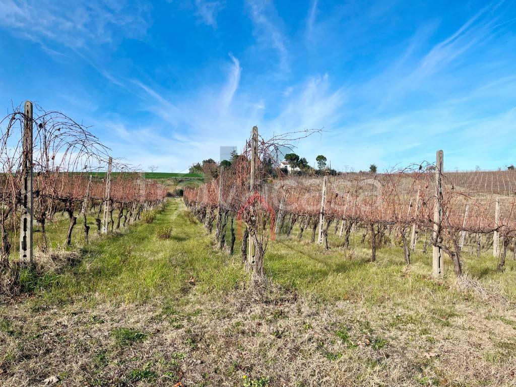 immagine annuncio 10 di 14