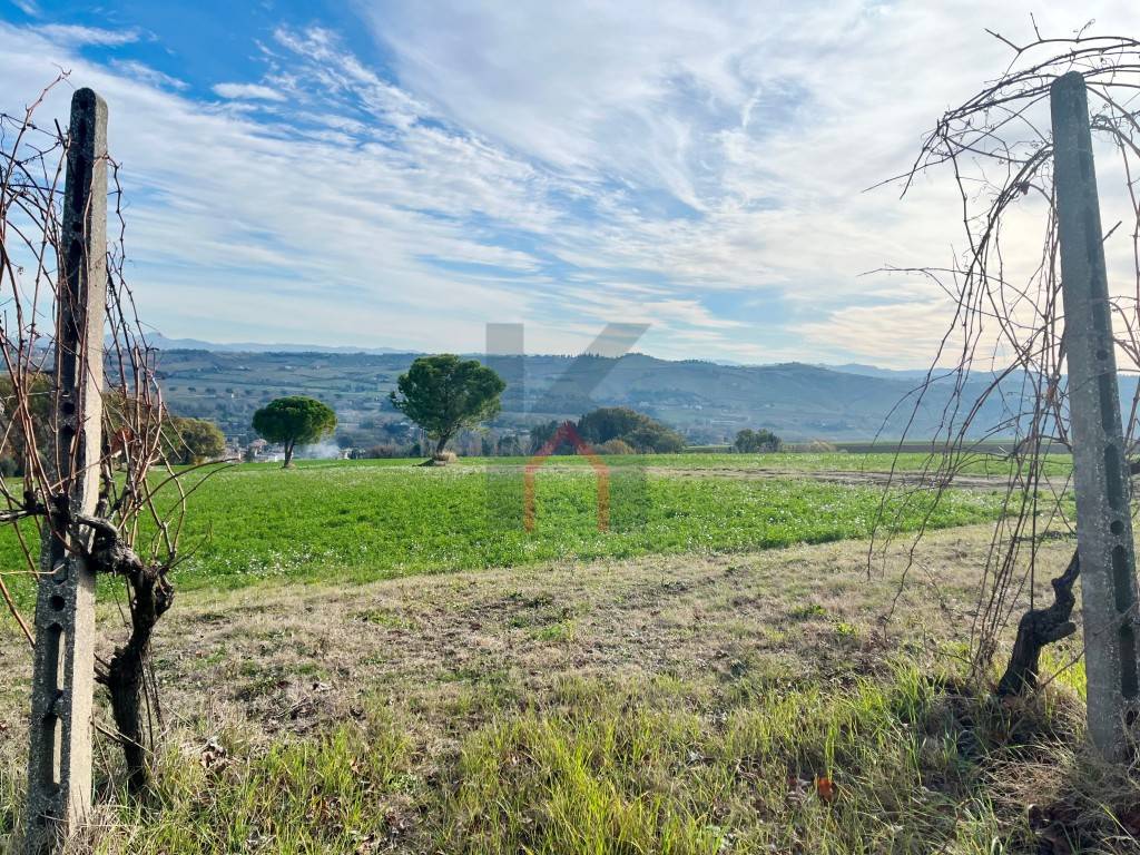 immagine annuncio 13 di 14