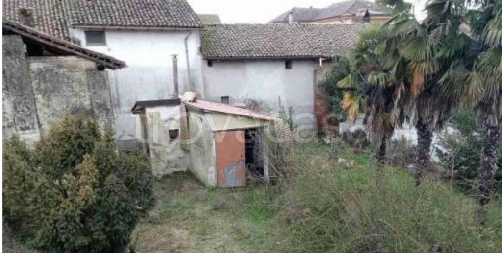 immagine annuncio 3 di 14