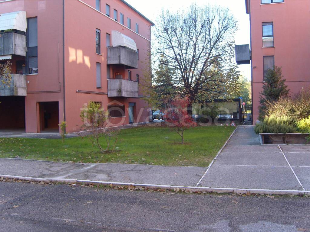 immagine annuncio 2 di 12