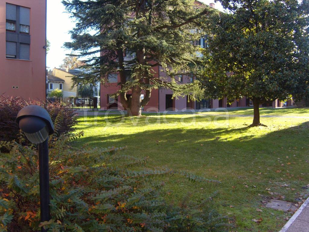 immagine annuncio 3 di 12