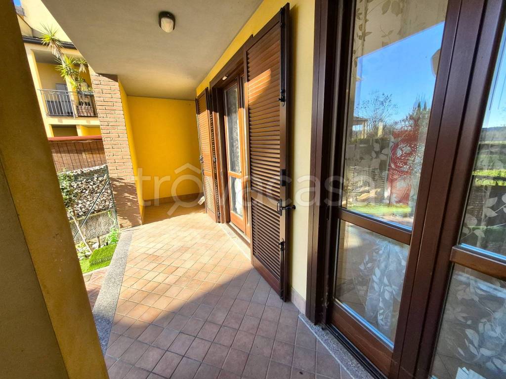 immagine annuncio 12 di 15