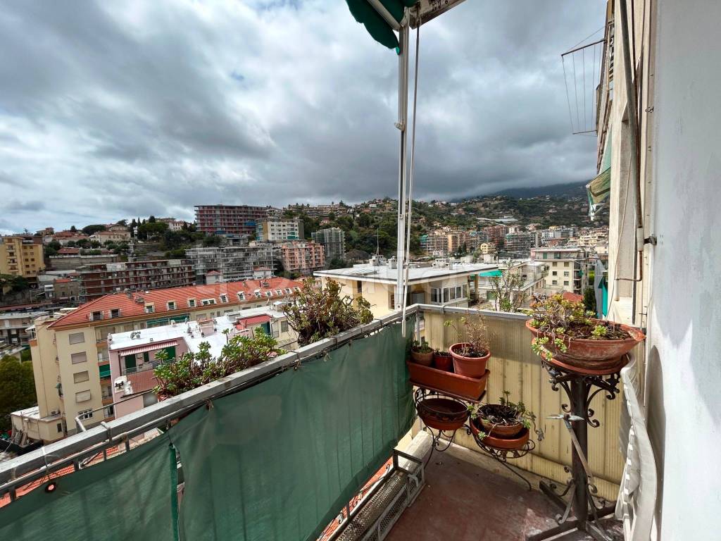 immagine annuncio 11 di 14