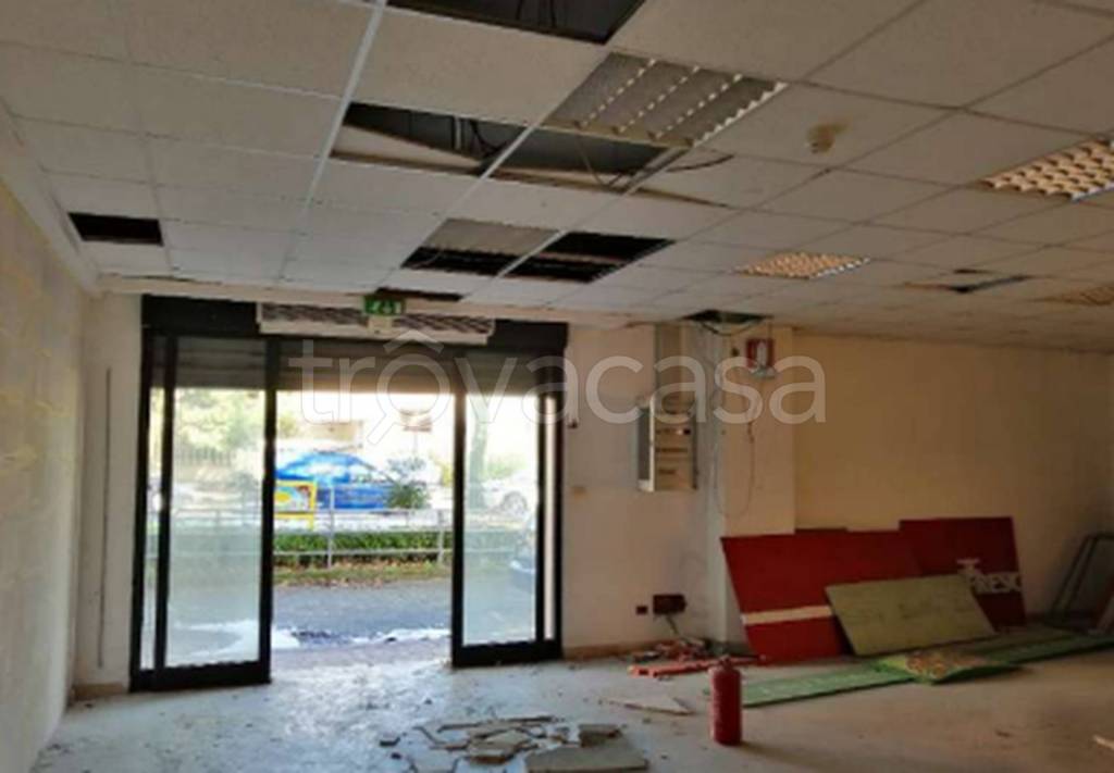 immagine annuncio 4 di 11