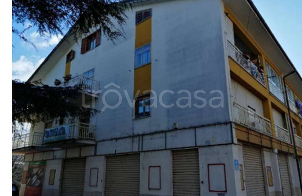 immagine annuncio 10 di 11