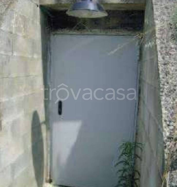 immagine annuncio 5 di 12