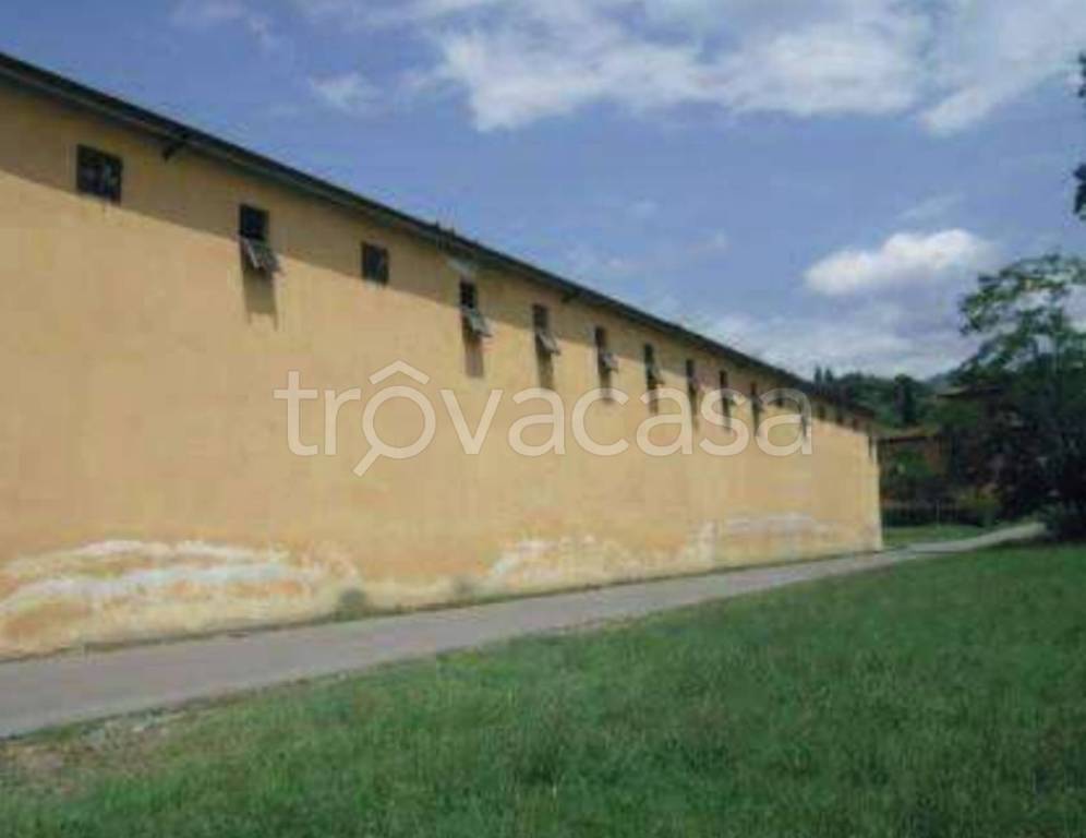 immagine annuncio 7 di 12