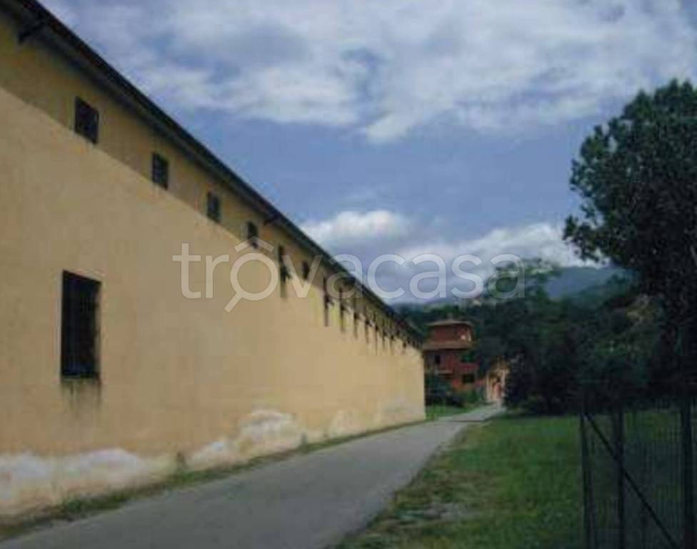 immagine annuncio 8 di 12