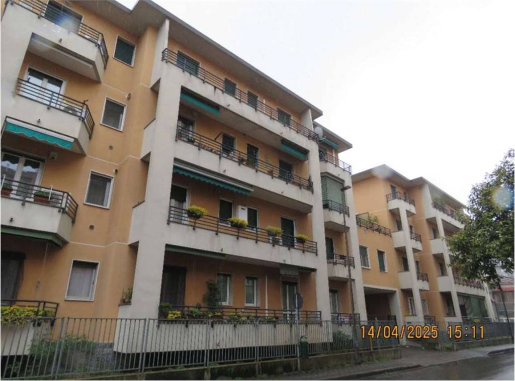 immagine annuncio 1 di 14