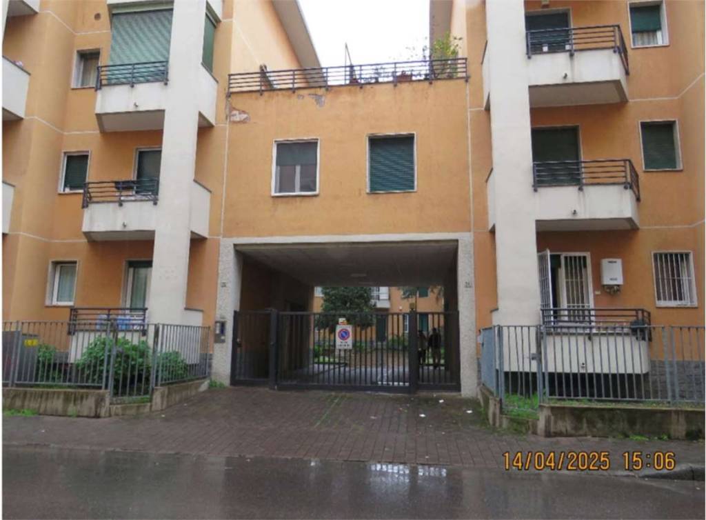 immagine annuncio 2 di 14