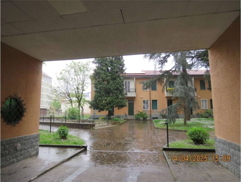 immagine annuncio 6 di 14