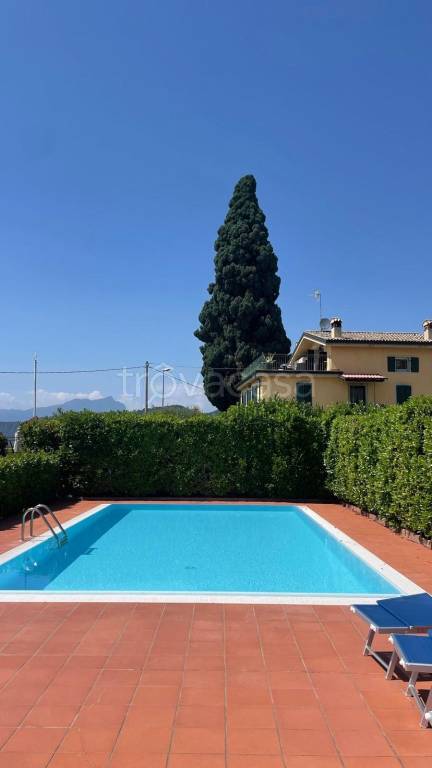 immagine annuncio 11 di 14