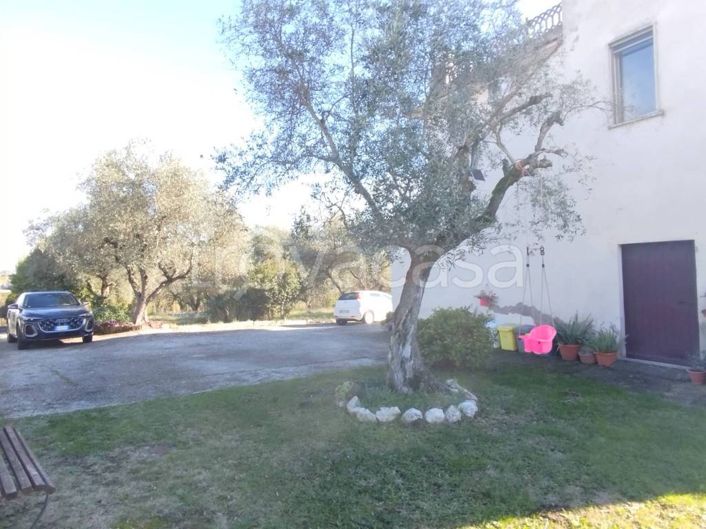 immagine annuncio 4 di 14