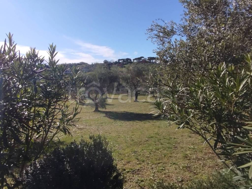 immagine annuncio 5 di 14