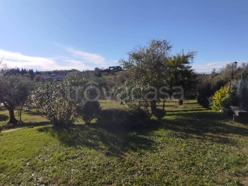 immagine annuncio 6 di 14