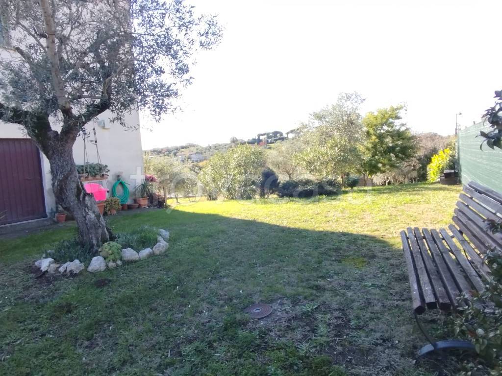 immagine annuncio 7 di 14