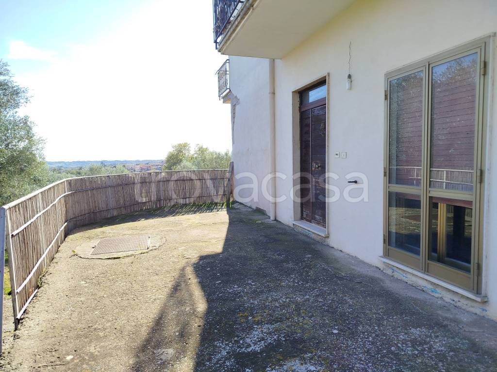 immagine annuncio 13 di 14