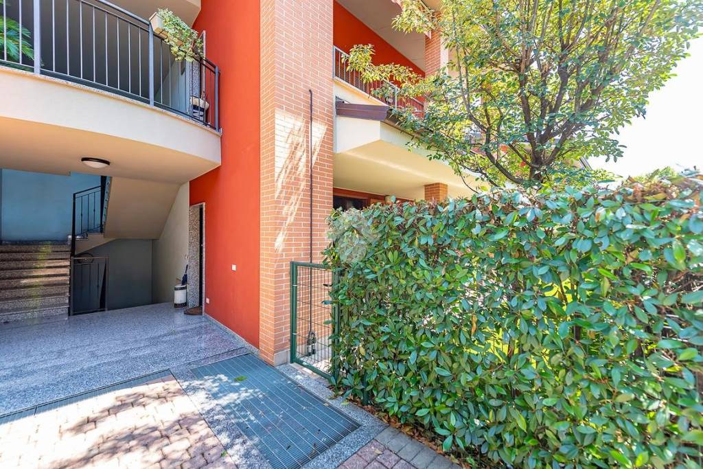 immagine annuncio 3 di 15