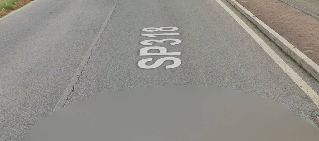 immagine annuncio 12 di 14