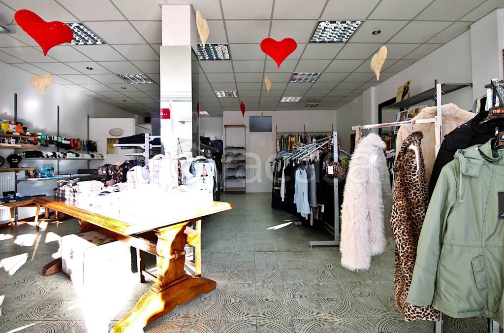 immagine annuncio 3 di 14