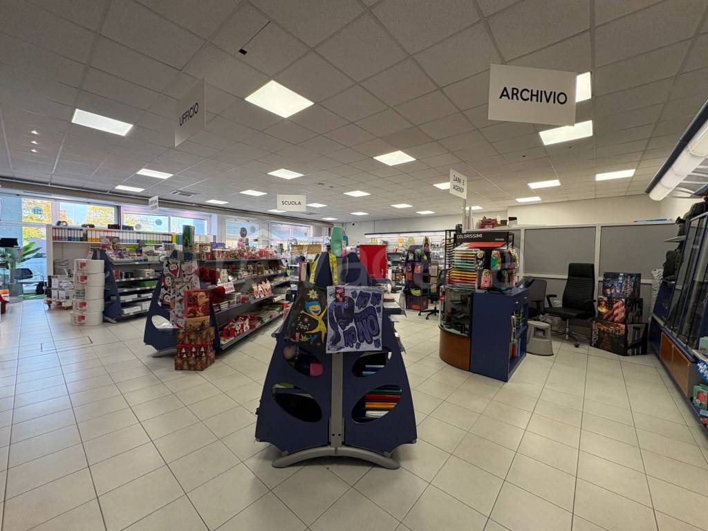 immagine annuncio 2 di 12